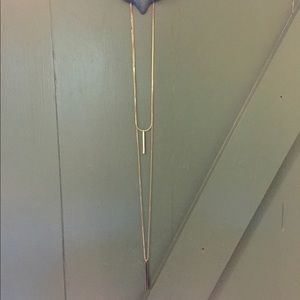 Express Long Drop Necklace